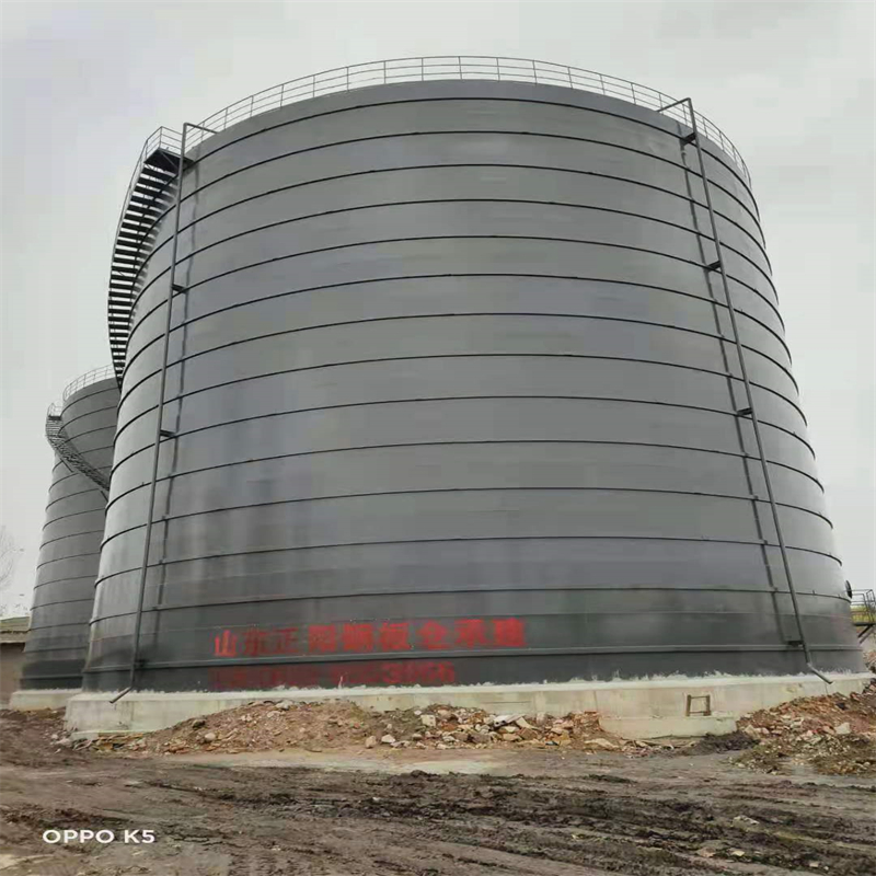 黎母山镇3万吨大型钢板库