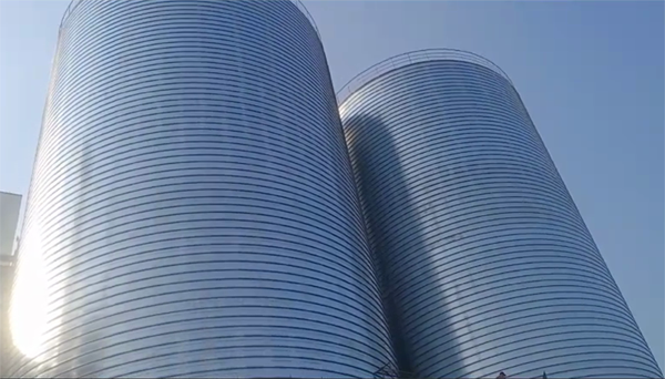 黎母山镇2座混凝土高架卷板仓